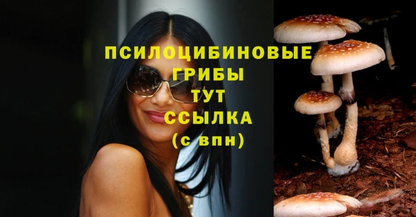 дживик Белокуриха
