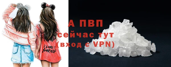 дживик Белокуриха