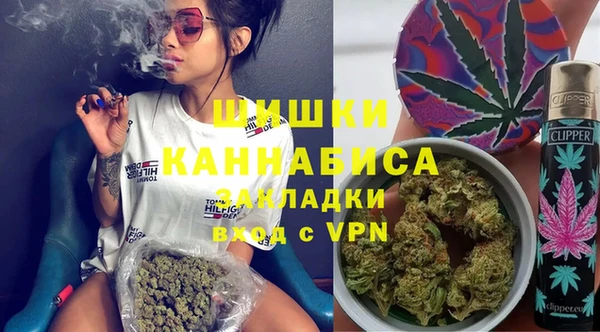 дживик Белокуриха