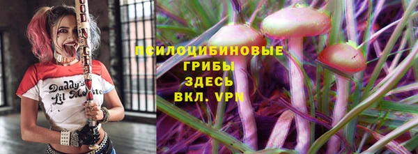 дживик Белокуриха