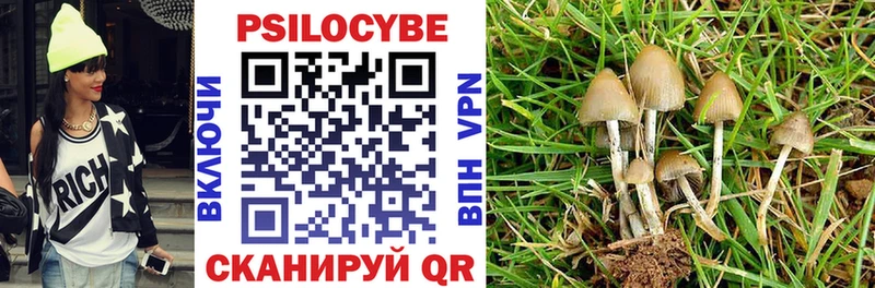 ссылка на мегу как войти  купить наркоту  Краснокаменск  Псилоцибиновые грибы мицелий 